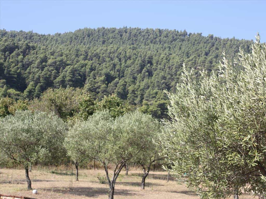 Tanah dalam Pitsiota, Sterea Ellada 11513527