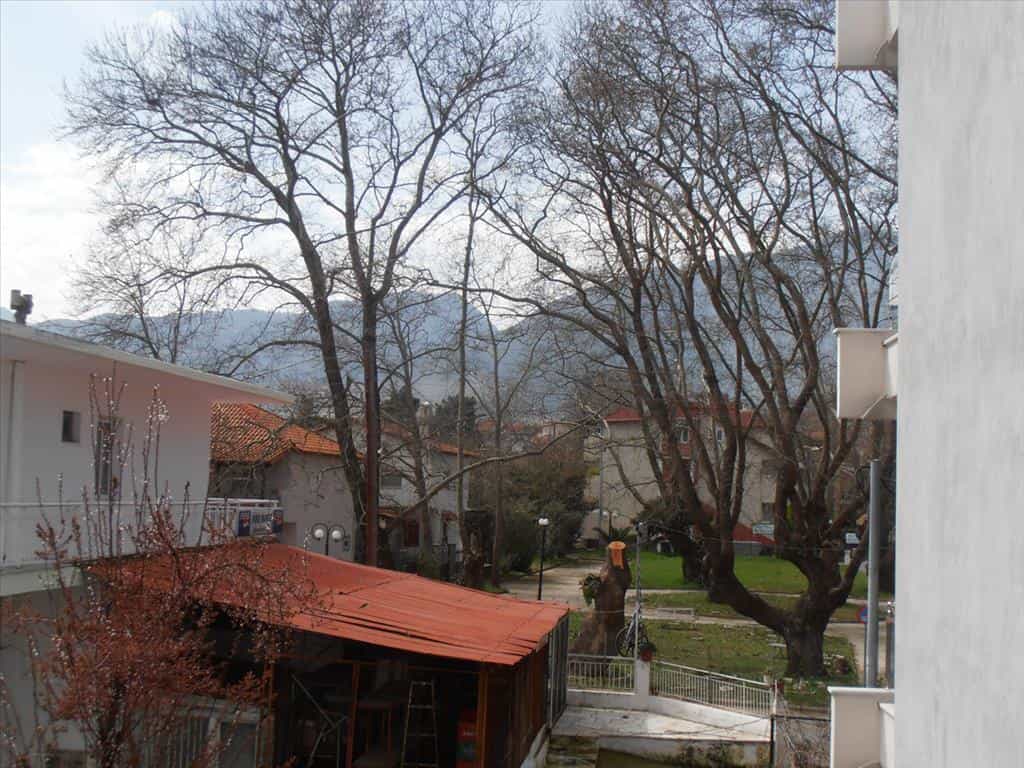 Condominium dans Pitsiota, Stéréa Ellada 11513546