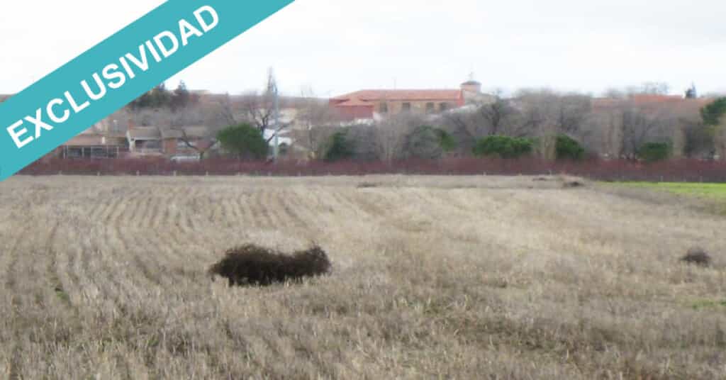Tierra en Villamiel de Toledo, Castilla-La Mancha 11513914
