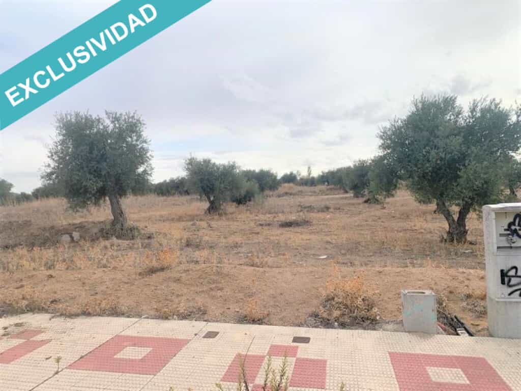 Land in Cobisa, Castille-La Mancha 11513926