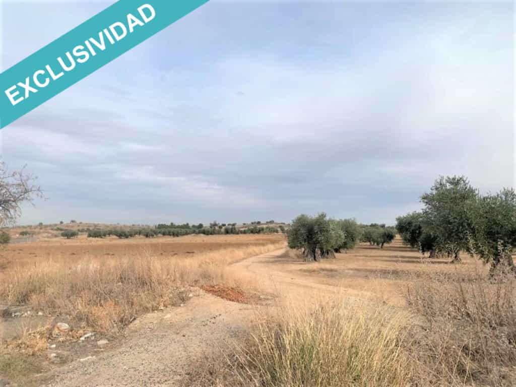 Land in Cobisa, Castille-La Mancha 11513926