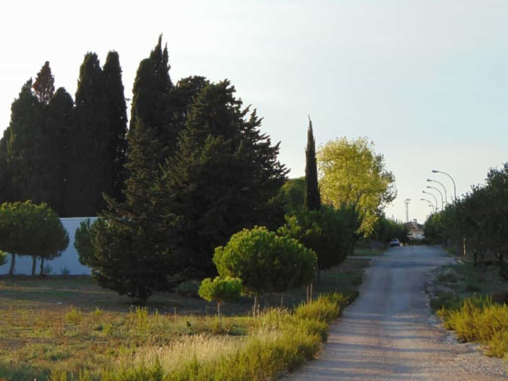 Terre dans San Jaime dels Domenys, Catalogne 11513941