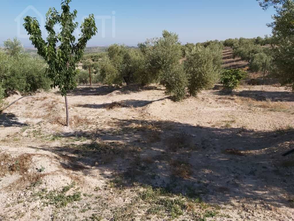 Land in Mancha Real, Andalucía 11514234