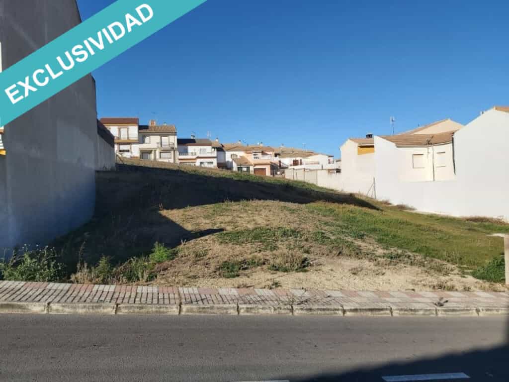 Land in Mancha Real, Andalusia 11514236