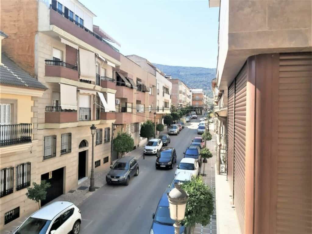 Condominium dans Mancha Real, Andalusia 11514246