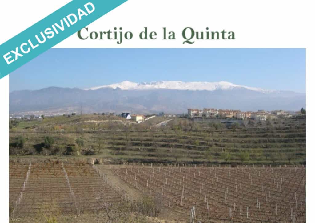 Land in Alhendin, Andalusia 11514281