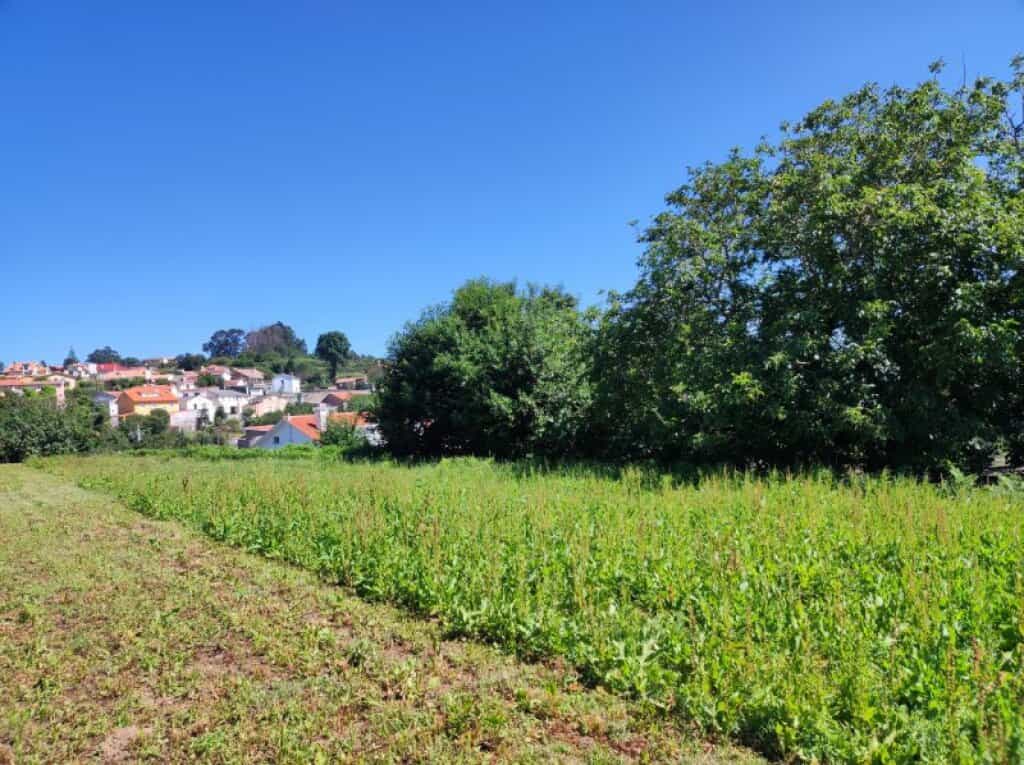 Tanah dalam Veigue, Galicia 11514451