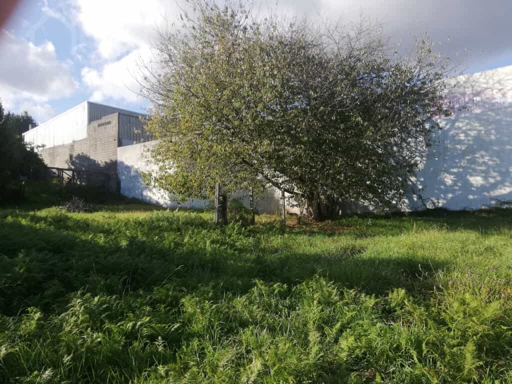 Tanah dalam Brión, Galicia 11514499