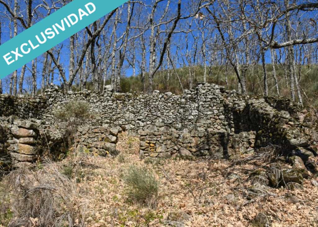 Land in Cilleros, Extremadura 11514889