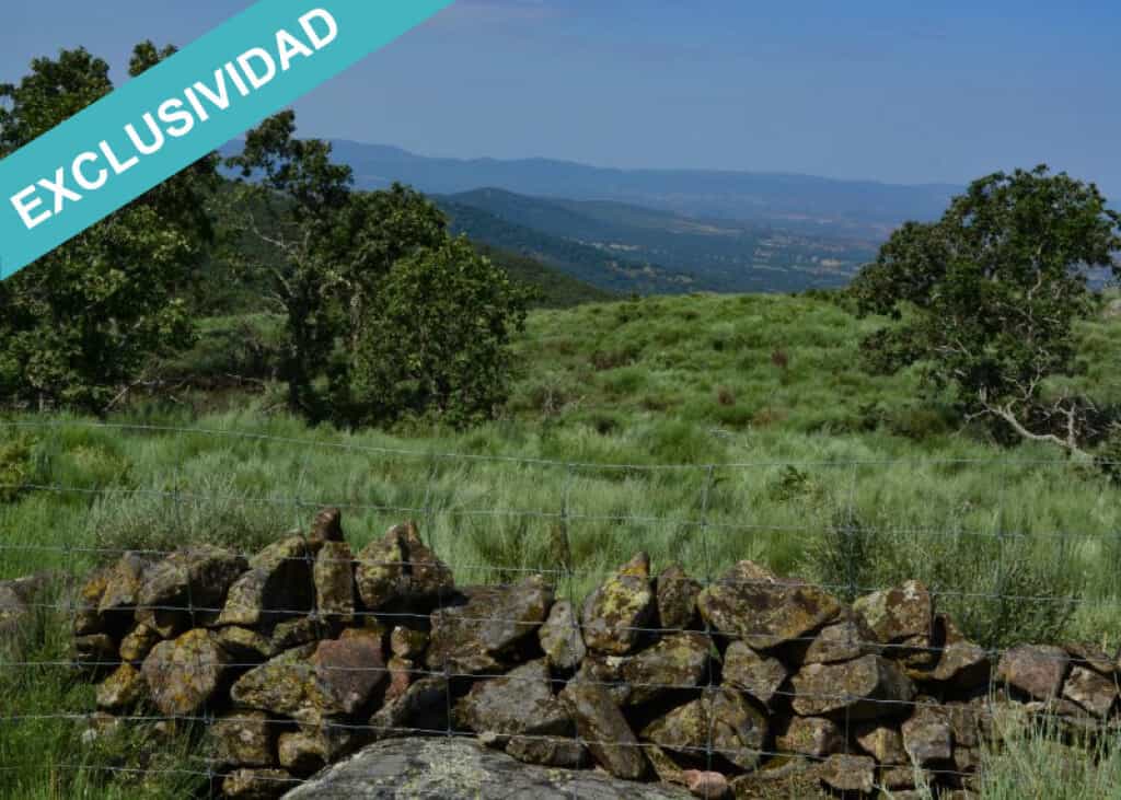 Tierra en hoyos, Extremadura 11514889