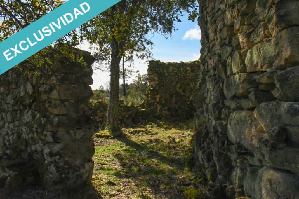 Jord i , Extremadura 11514890