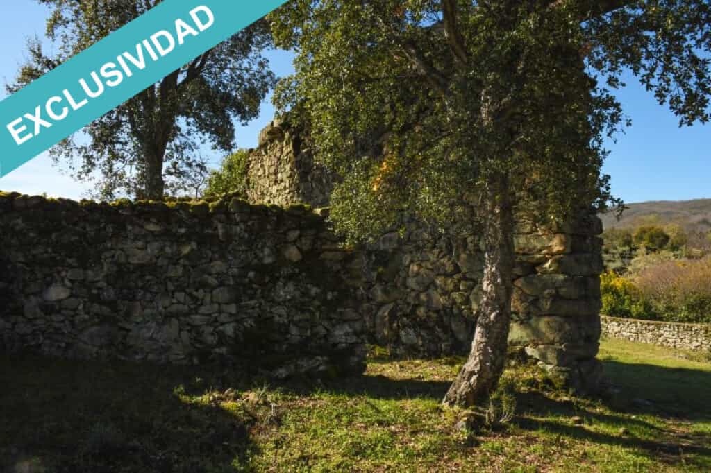 Jord i Hoyos, Extremadura 11514890