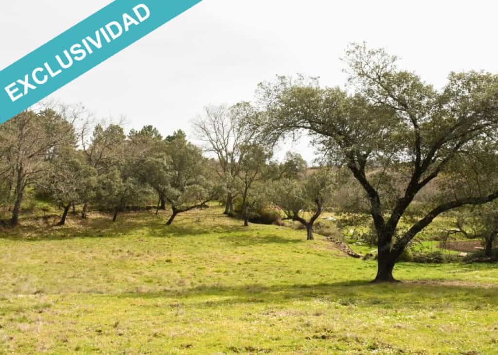 Land in Villasbuenas de Gata, Extremadura 11514891