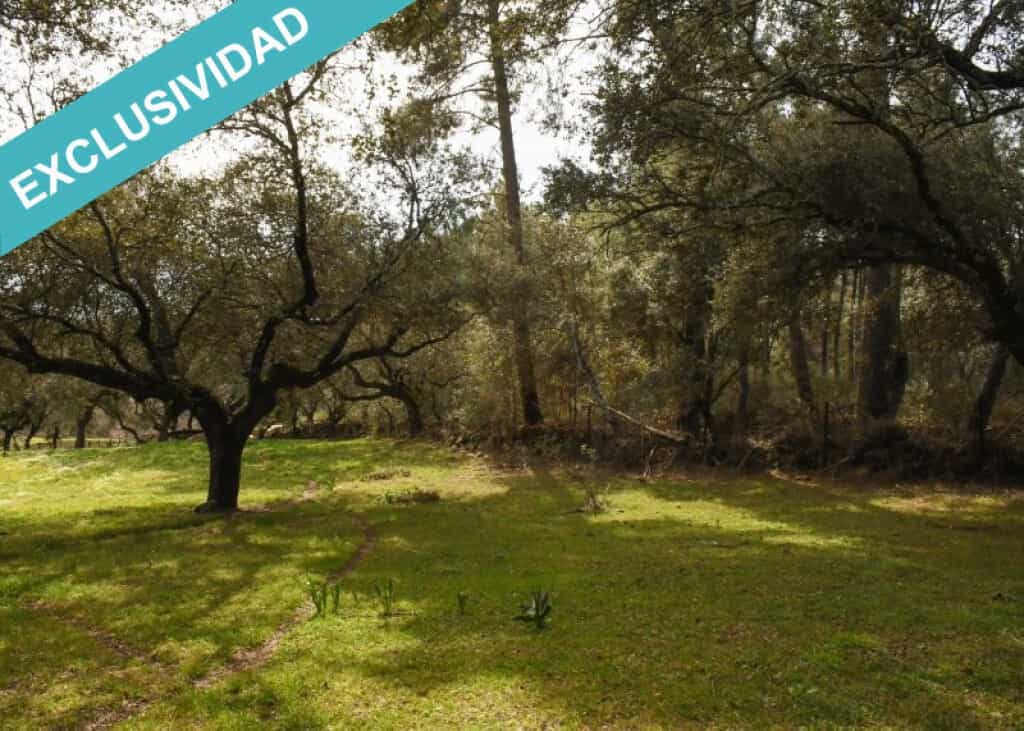 Land in Villasbuenas de Gata, Extremadura 11514891