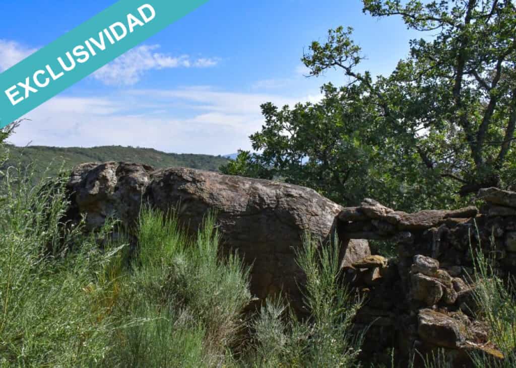 Terre dans Perales del Puerto, Extremadura 11514892