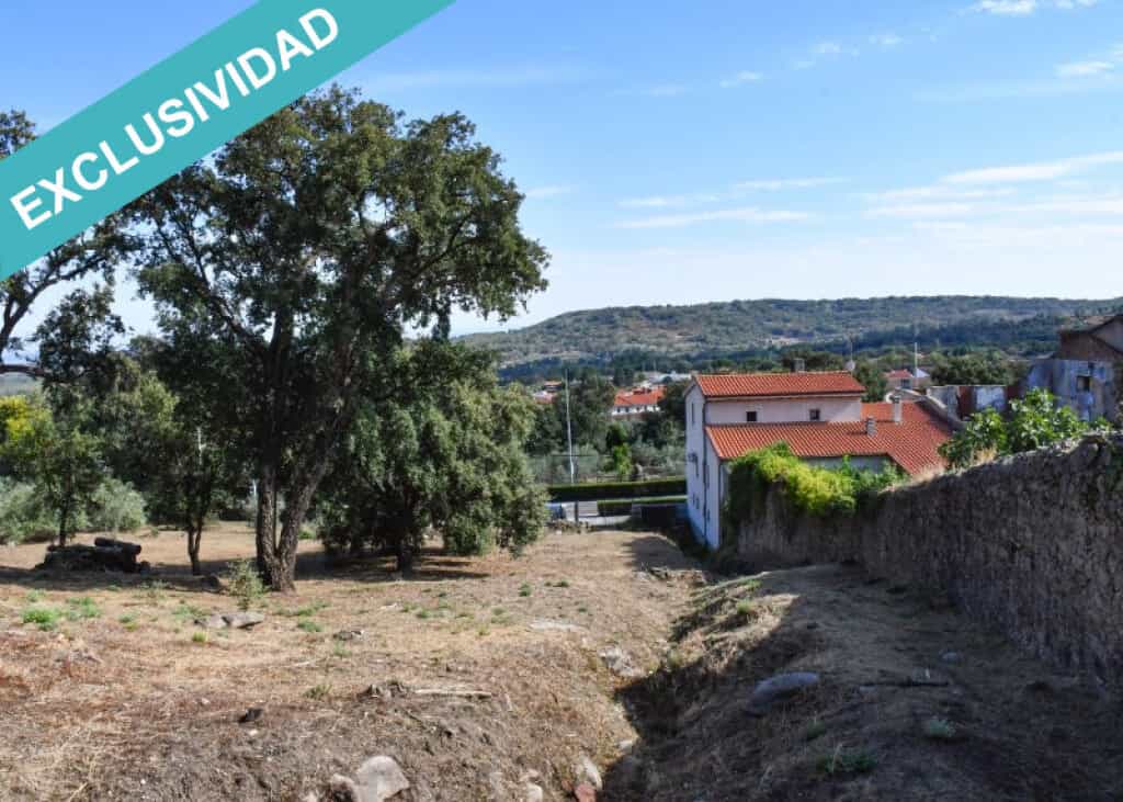 Terra no Hoyos, Extremadura 11514896