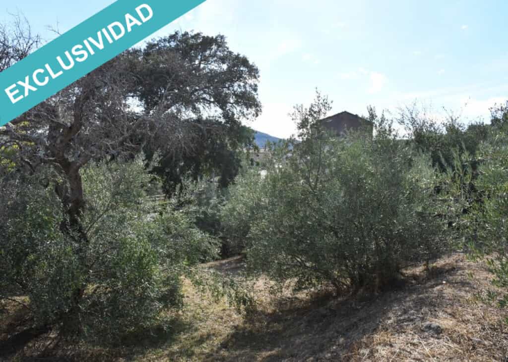 भूमि में Hoyos, Extremadura 11514896