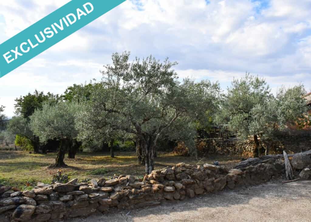 Земля в Perales del Puerto, Extremadura 11514897