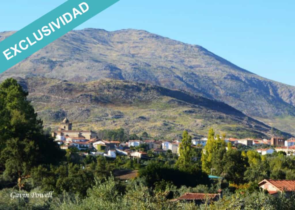 भूमि में Acebo, Extremadura 11514902