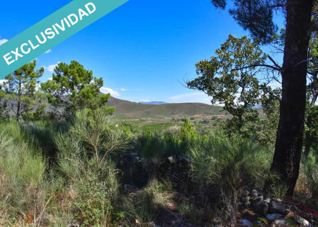 Land in , Extremadura 11514903