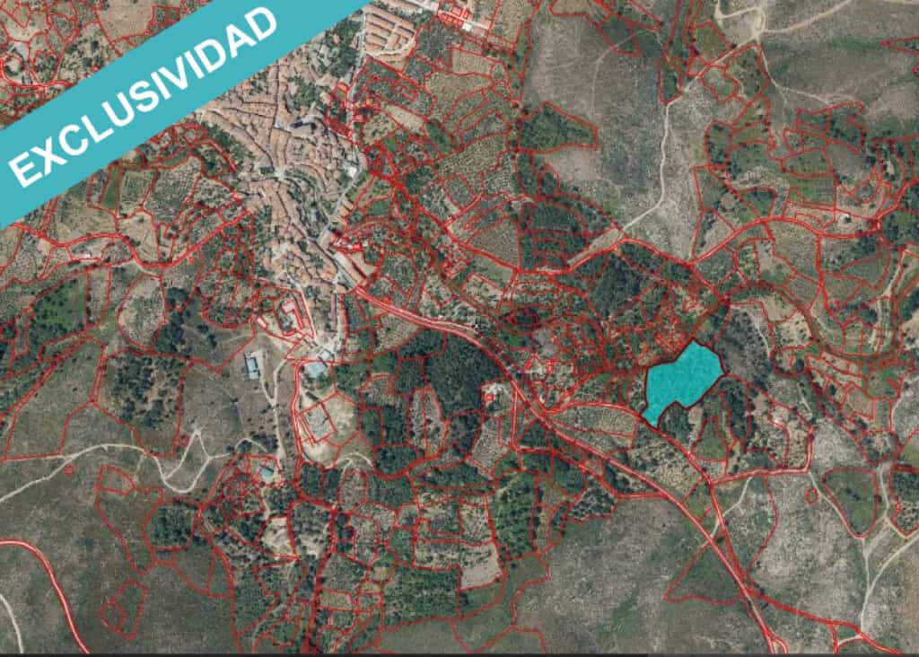 Terre dans , Extremadura 11514903