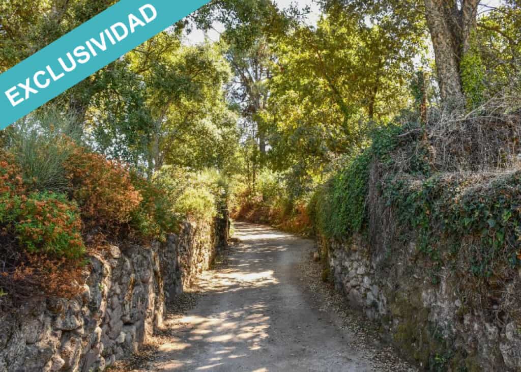 Land in Acebo, Extremadura 11514903