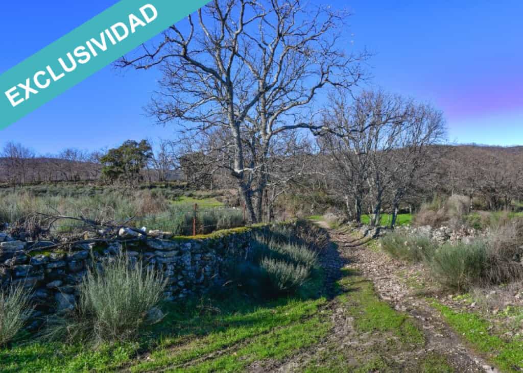 Land in Perales del Puerto, Extremadura 11514907