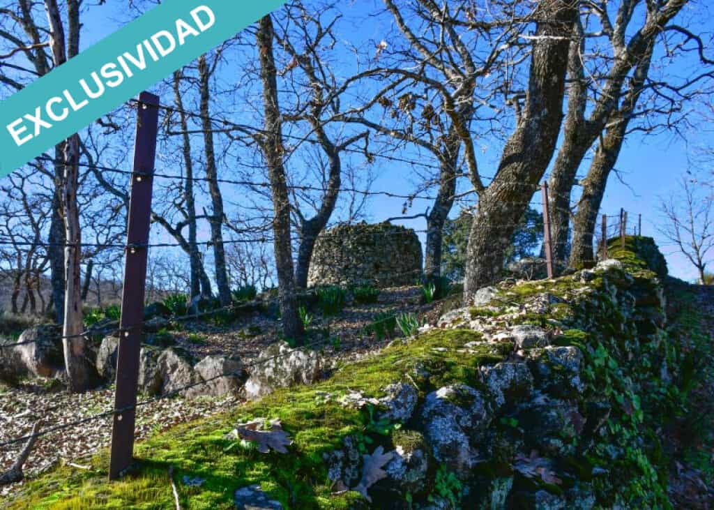 Land in Perales del Puerto, Extremadura 11514907