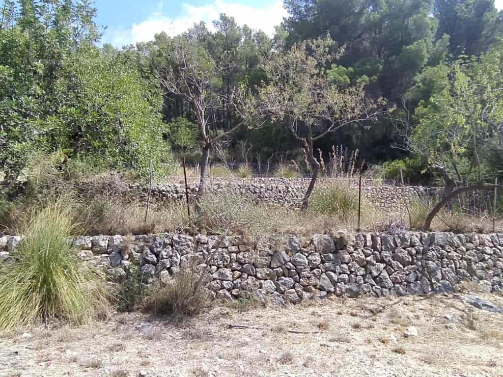 Tanah di Esporles, Illes Balears 11515211