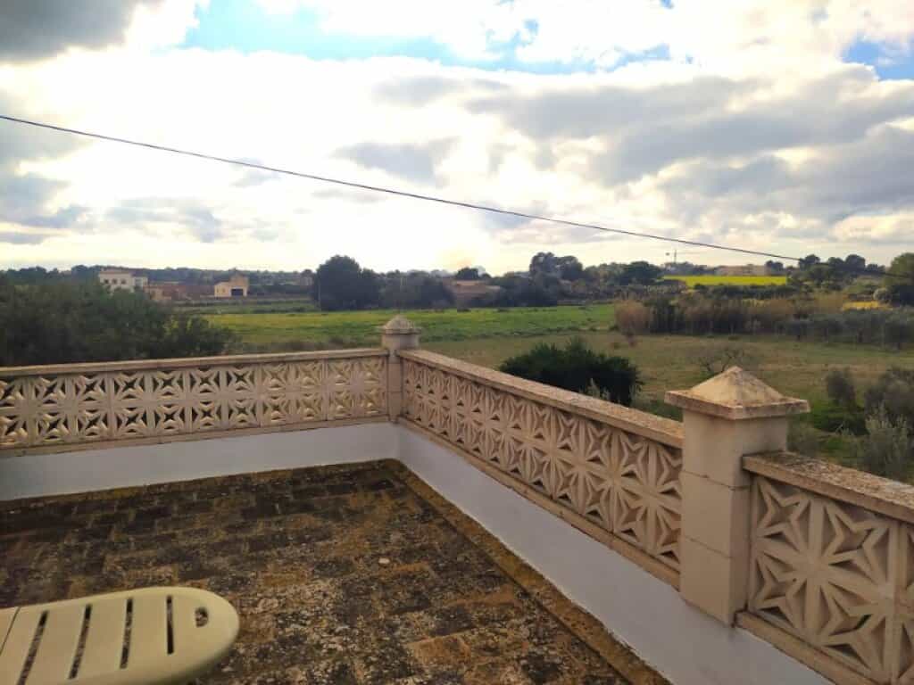 House in , Illes Balears 11515213