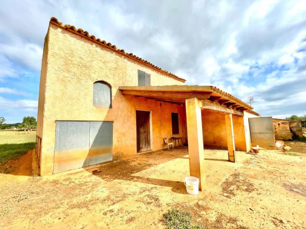 Rumah di Cala Millor, Pulau Balearic 11515229
