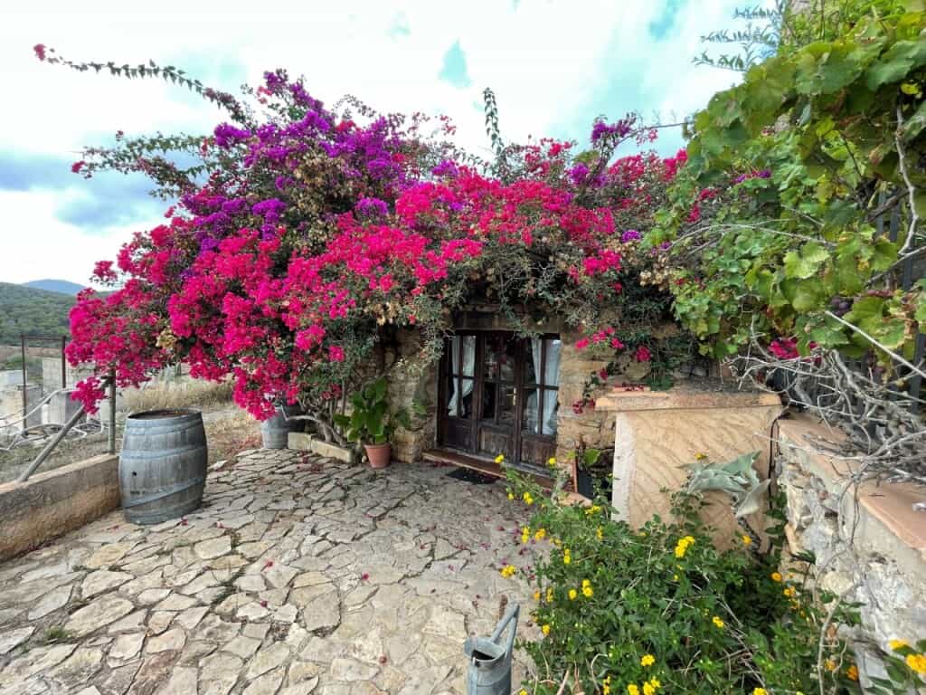 House in Manacor, Illes Balears 11515230