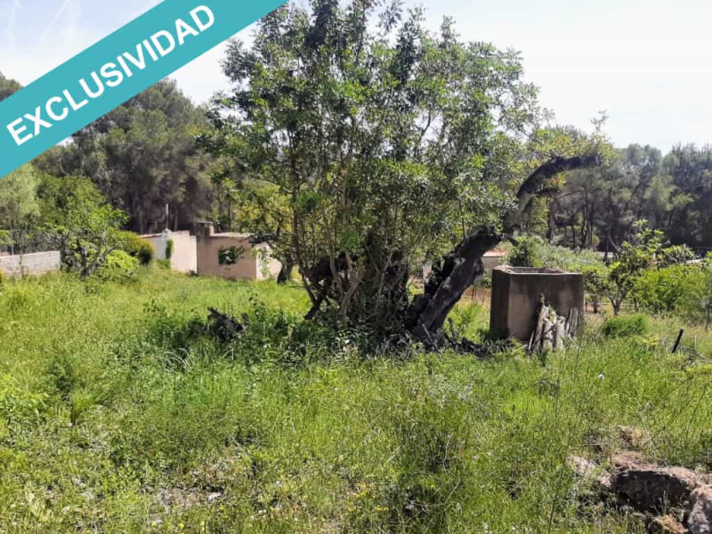 Land in Peters, Valencia 11515267