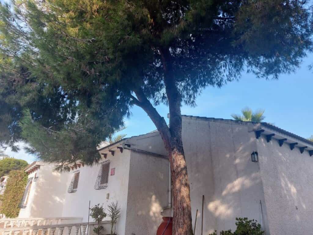 House in Orihuela, Comunidad Valenciana 11515351