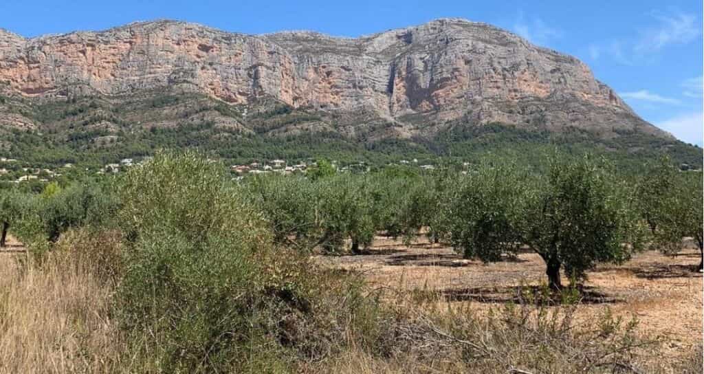 土地 在 Xàbia, Comunidad Valenciana 11515722