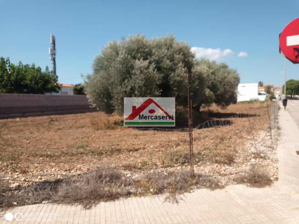 Tanah dalam Vinaroz, Valencia 11515972