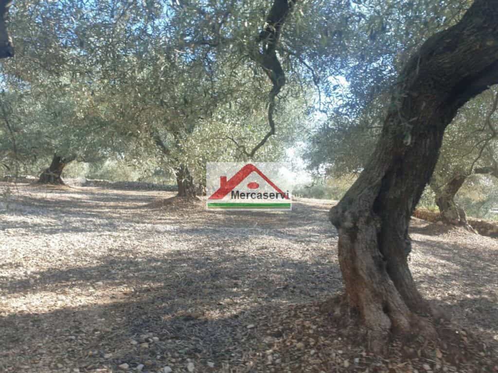 Tanah dalam San Carlos de la Rapita, Catalonia 11515983