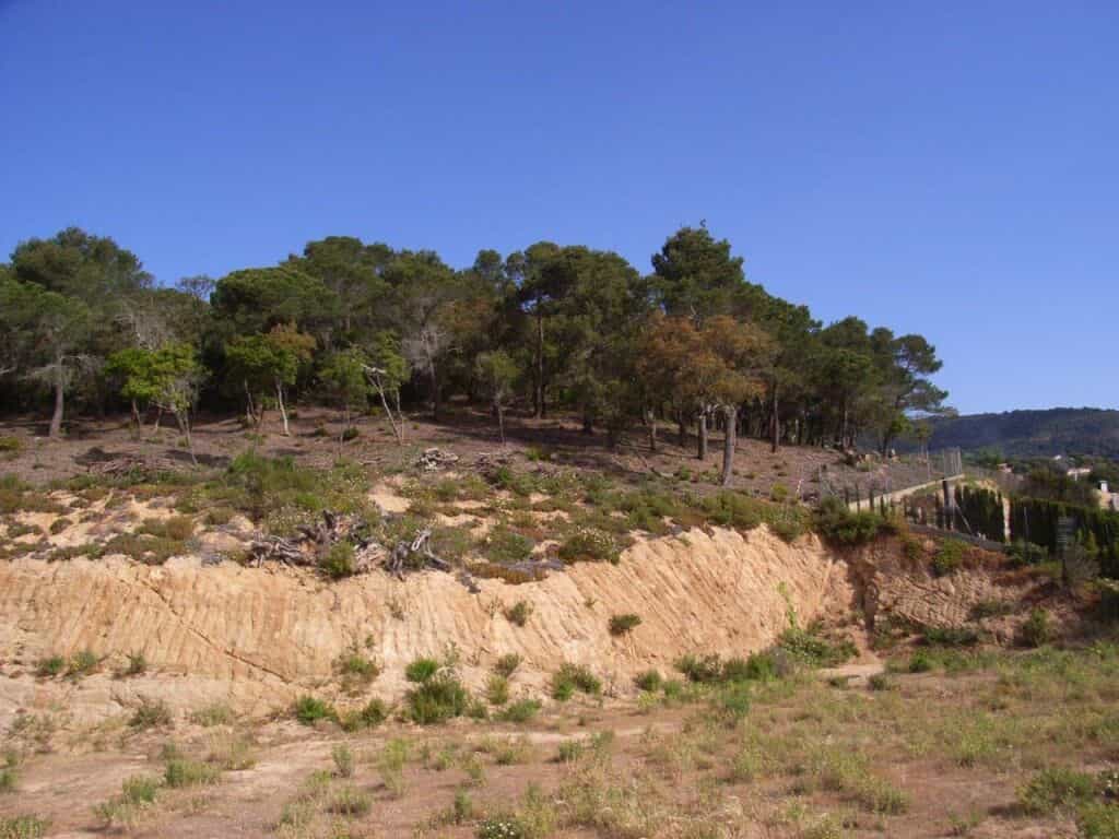 Land in San Pol de Mar, Catalonia 11516270