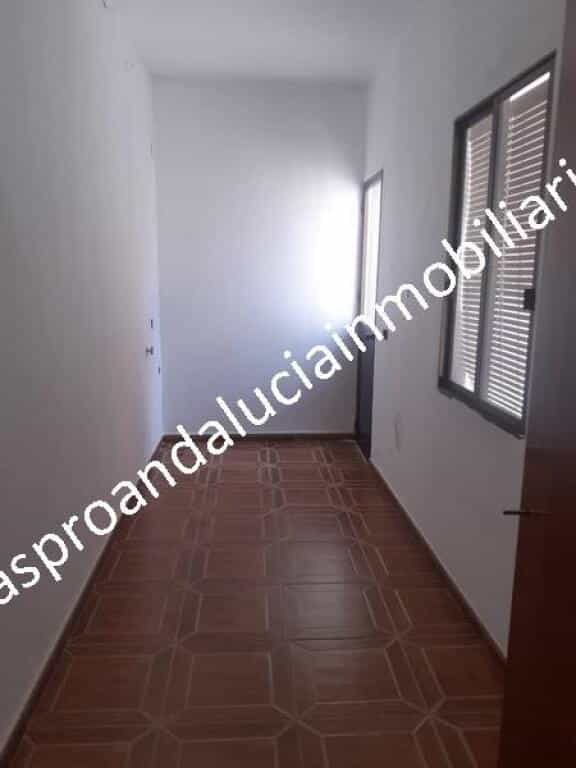 House in Olivares, Andalusia 11516349