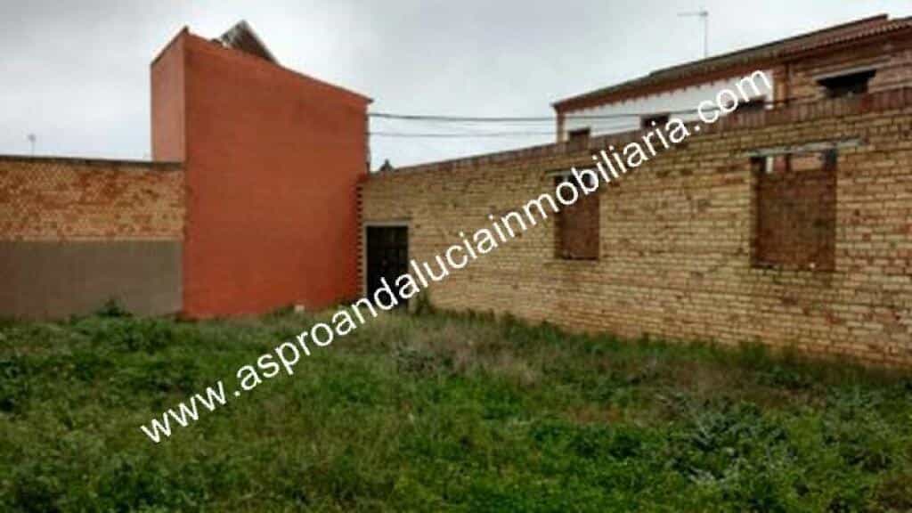 Land in Pilas, Andalusia 11516367