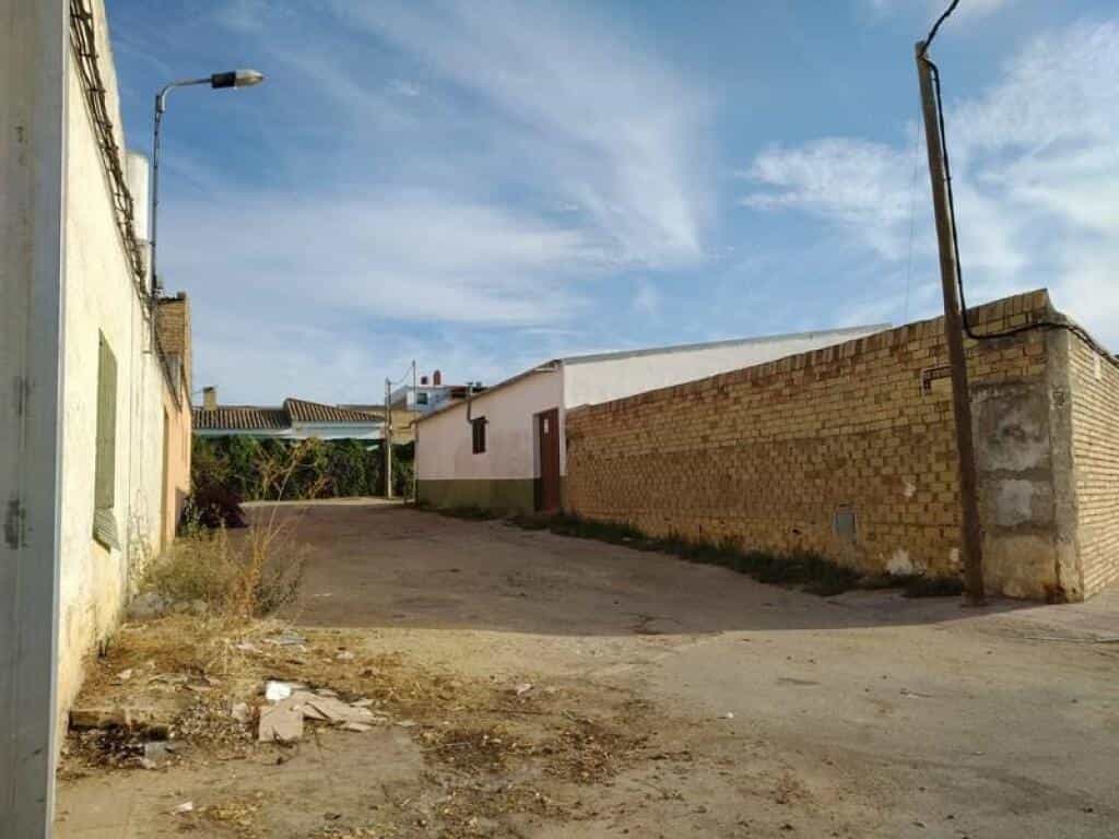 Tierra en pilas, Andalucía 11516400
