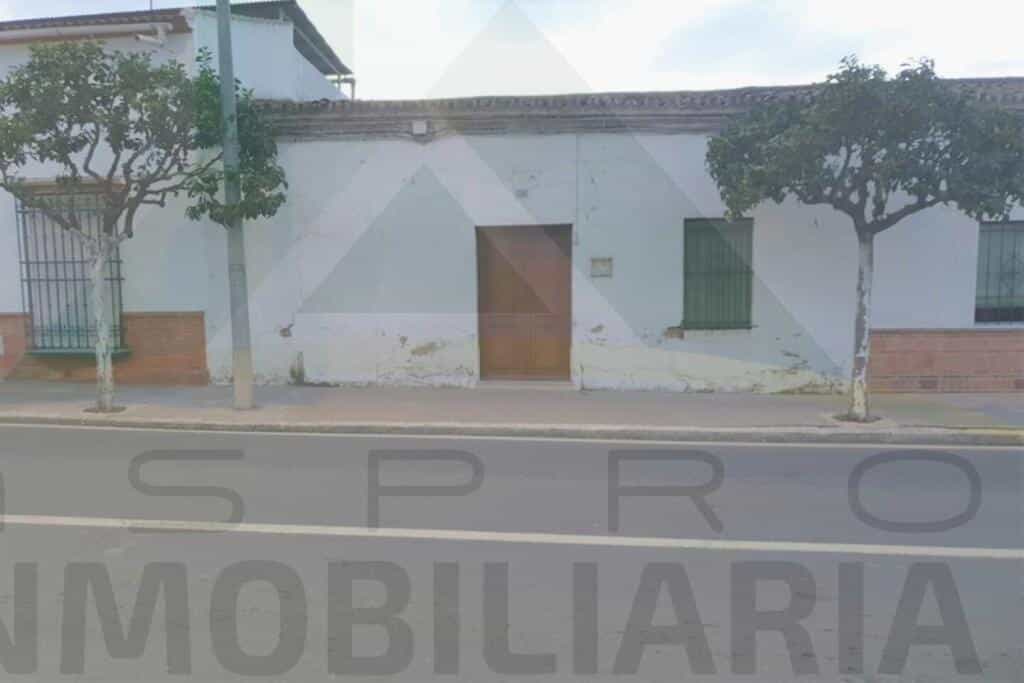 House in La Palma del Condado, Andalusia 11516406