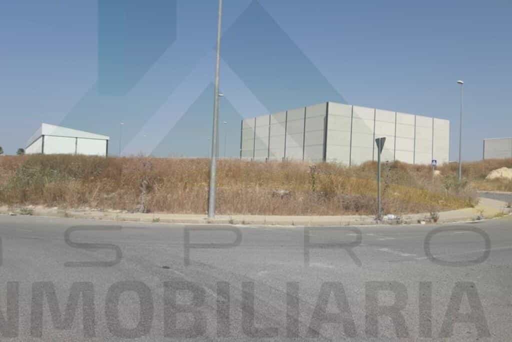 Land in Pilas, Andalusia 11516461