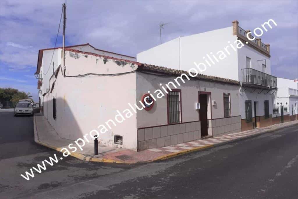 Casa nel Albaida del Aljarafe, Andalusia 11516465