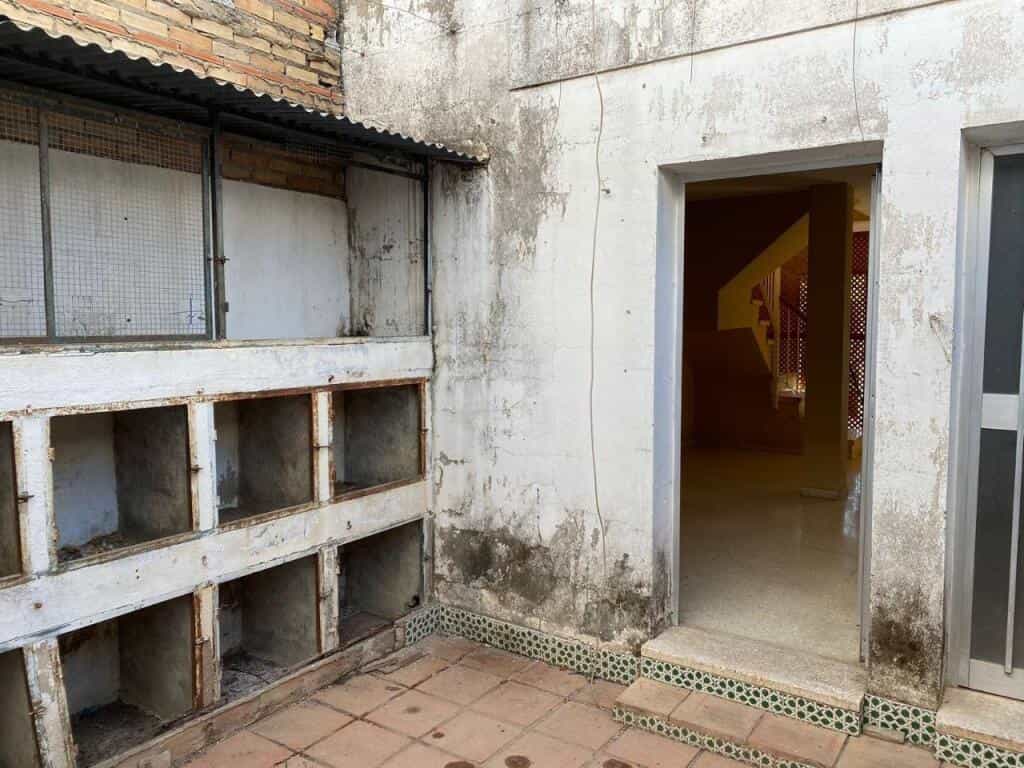 Dom w Pilas, Andalucía 11516483