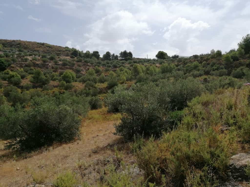 Land in Otivar, Andalusia 11516792