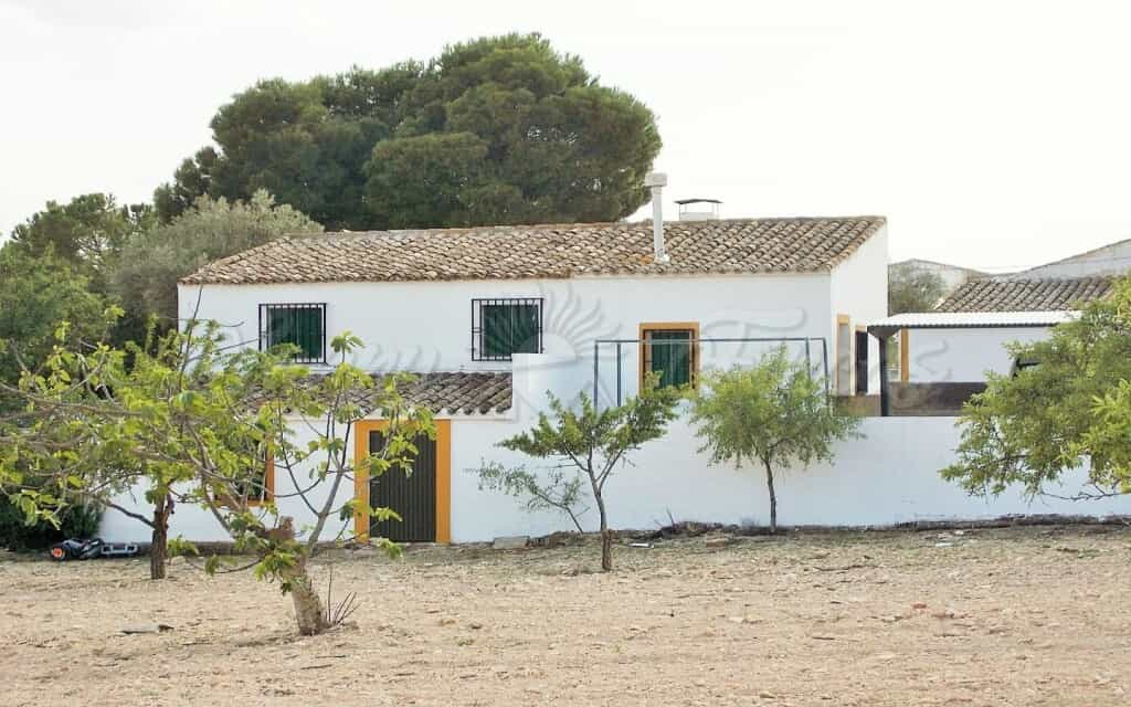 Casa nel Yecla, Murcia 11516866