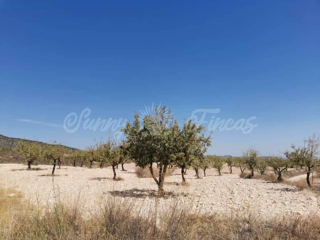 Tanah dalam Raspay, Murcia 11516905