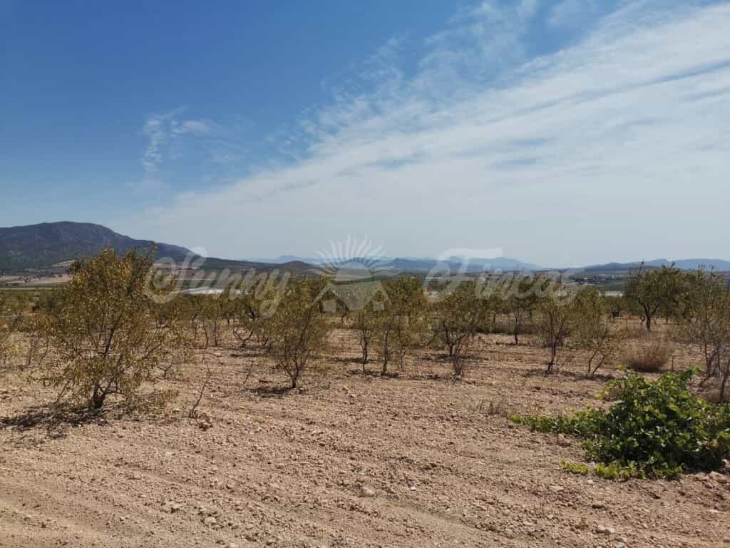 Tierra en raspay, Murcia 11516905