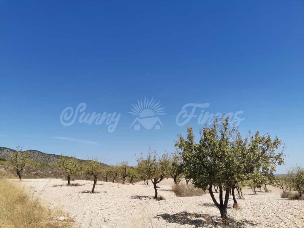 Tanah dalam Raspay, Murcia 11516905